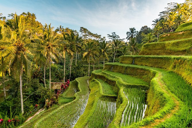 Private Ubud Day Tour - Price and value: what $55 actually covers (and what it doesn’t)