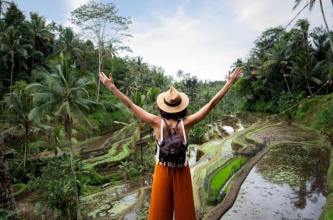 Private Ubud Day Tour Waterfalls Sacred Monkeys and Rice Fields - Stop 4: Sacred Monkey Forest Sanctuary—Spiritual Space Meets Close-Up Wildlife