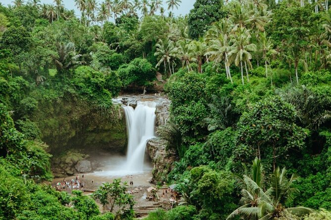 Private Ubud Day Tour Waterfalls Sacred Monkeys and Rice Fields - Stop 5: Tegalalang Rice Terrace—The Iconic Ubud Walk