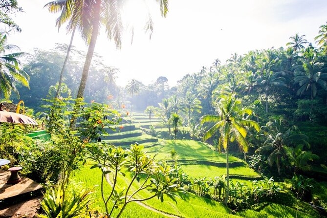 Private Ubud Day Tour Waterfalls Sacred Monkeys and Rice Fields - The Guide Factor: Why People Keep Mentioning Wayan and the Personal Touch