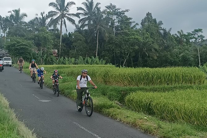 Private Ubud Downhill Cycling with Volcano, Rice Paddies & Meal - What’s Included (And Why It Matters for Your Comfort)
