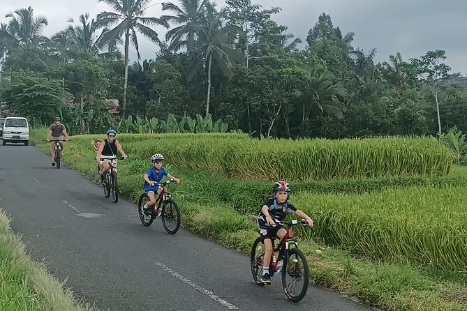 Private Ubud Downhill Cycling with Volcano, Rice Paddies & Meal - The Plantation Stop: Learning Through Fruit (Not Lectures)