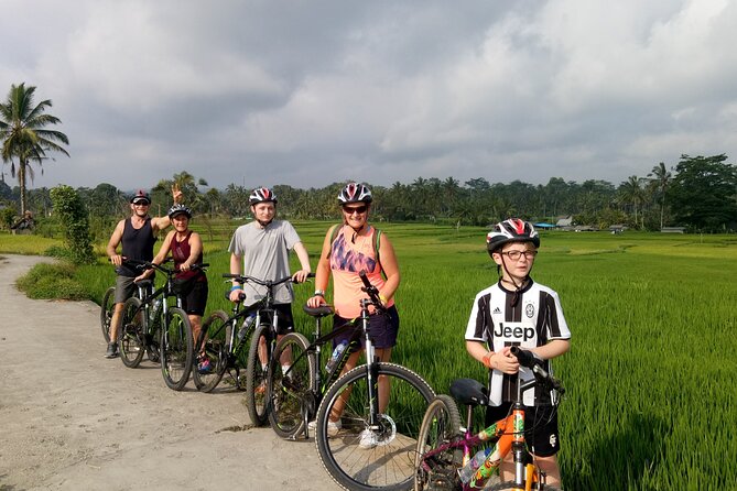 Private Ubud Downhill Cycling with Volcano, Rice Paddies & Meal - Pura Dalem Pukuh Start: Bike Fitting Before You Ride