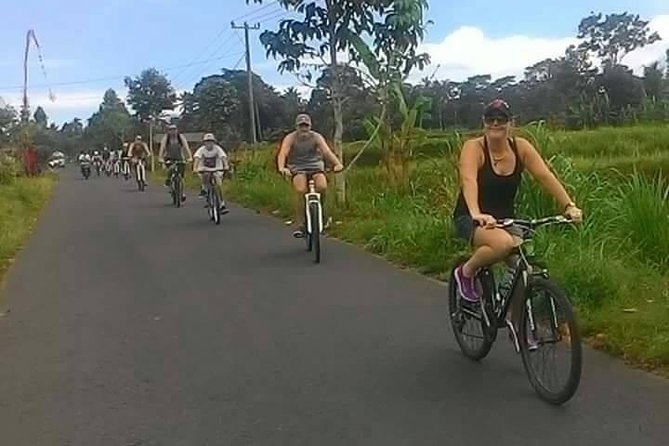 Private Ubud Downhill Cycling with Volcano, Rice Paddies & Meal - Manukaya Downhill Through Village Roads (The Heart of the Day)