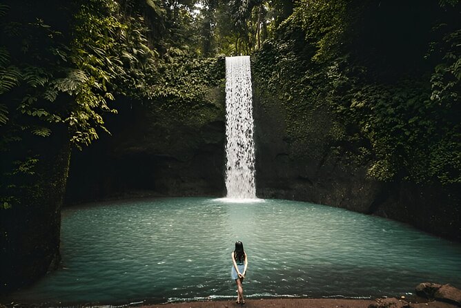 Private Ubud Instagrammable Tour - All Inclusive - Price and value: what $30 usually covers (and what might cost extra)
