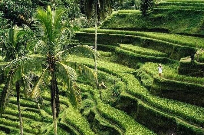 Private Ubud Tour - Celuk Village: silver and gold craftsmanship up close