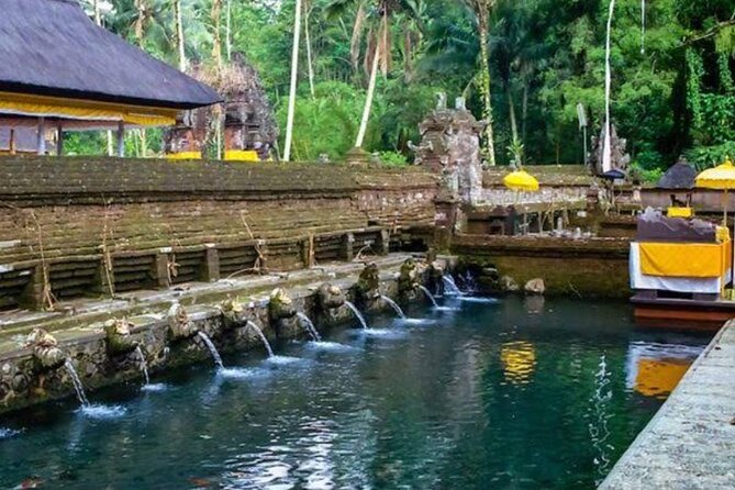 Private Ubud Tour - Tegenungan Waterfall: a quick nature reset