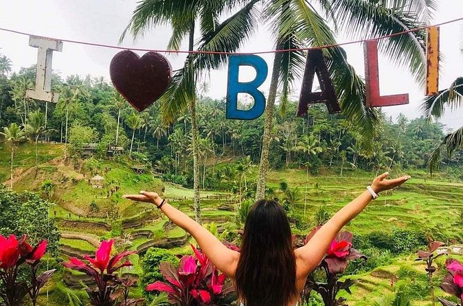 Private Ubud Tour - Tegalalang Rice Terraces: the classic Ubud view