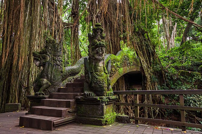 Private Ubud Tour: Monkey Forest, Waterfall & Rice Terrace - Tegenungan Waterfall: Stairs, Timing, and Cooling Off
