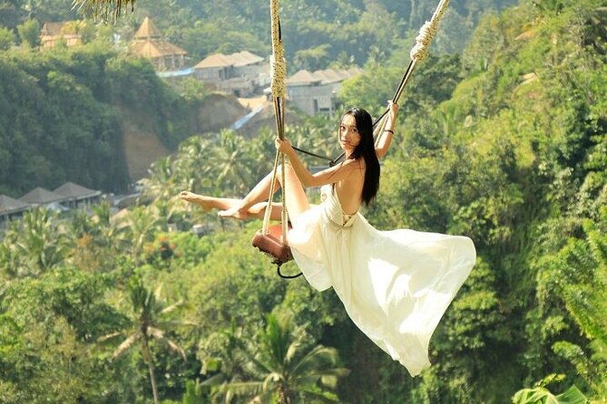Private Ubud Tour: Monkey Forest, Waterfall & Rice Terrace - Price and Logistics: Is $32 Good Value for This Ubud Combo?