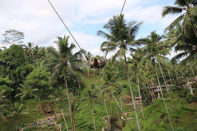 Private Ubud Tour Package - A Best-of Ubud Day That Doesn’t Feel Like a Checklist