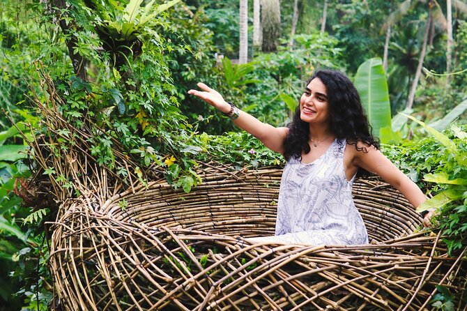Private Ubud Tour: Waterfall, Rice Terrace & Monkey Forest - Lunch and jungle swing: what you should plan for