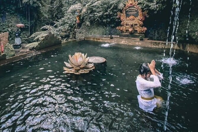 Purification Ceremony, Kehen Temple and Goa Raja Waterfall Tour - Goa Raja Waterfall: Swim in Rock Pools and Watch the Jungle