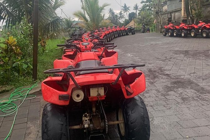 Quadbike Adventure with Tunnel and Waterfall Tour in Bali - ATV condition and the one “watch out” trade-off