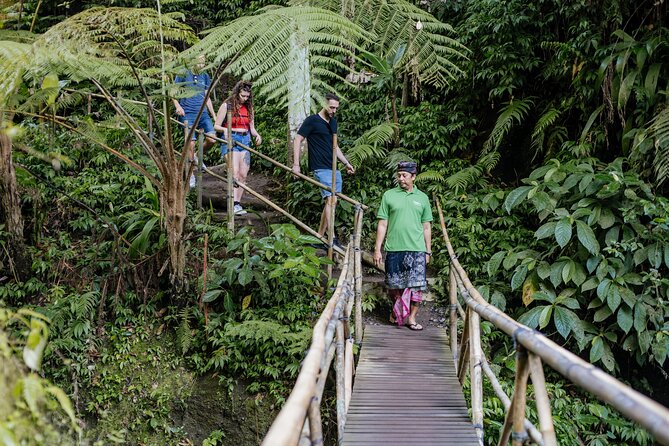 Quick Access: The Bali Instagram Small Group Tour - Tegalalang Rice Terraces: UNESCO views and photo timing