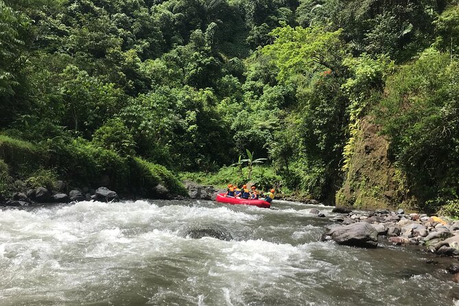 Rafting Adventure 18 km and Balinese Village Life Tour with Lunch - The Scenic Drive: Waterfall Stops Without the Stress