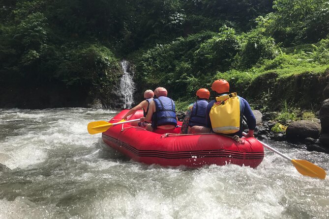 Rafting Adventure 18 km and Balinese Village Life Tour with Lunch - Safety and Guide Style: The Difference You’ll Feel