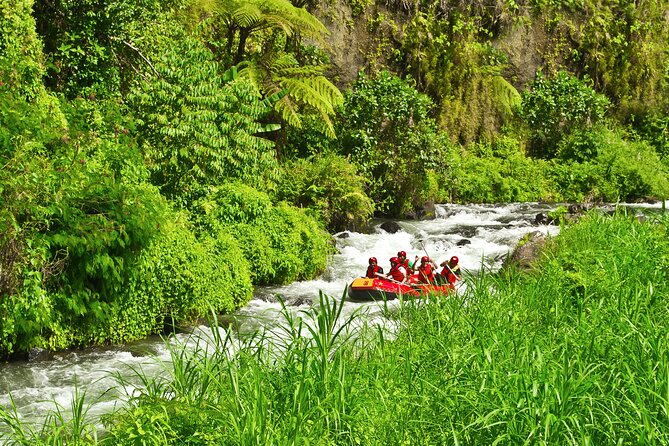 Rafting Adventure 18 km and Balinese Village Life Tour with Lunch - Price and Value: What $73.02 Gets You