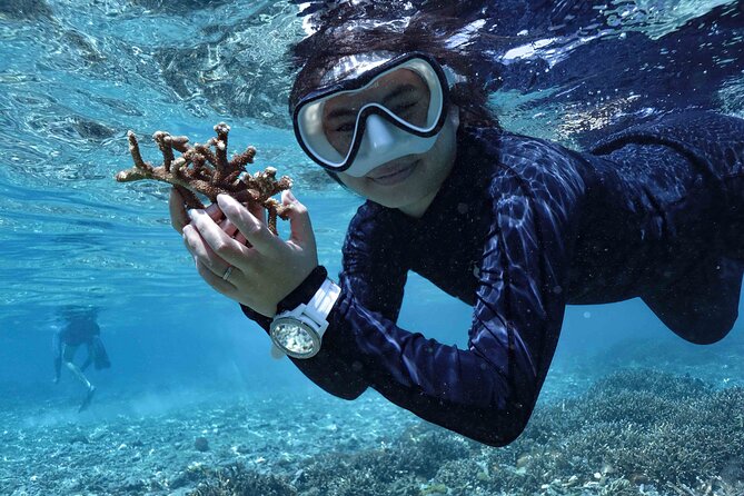 Reef Rehabilitation Course and Snorkeling - What You Do in 6 Hours: Coral Nursery to 4 m² of New Reef