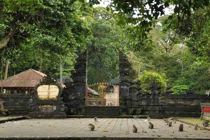 Royal Family Temple, Monkey Forest, and Tanah Lot Sunset Tour - Transfers, tickets, and a guide who talks like a real person