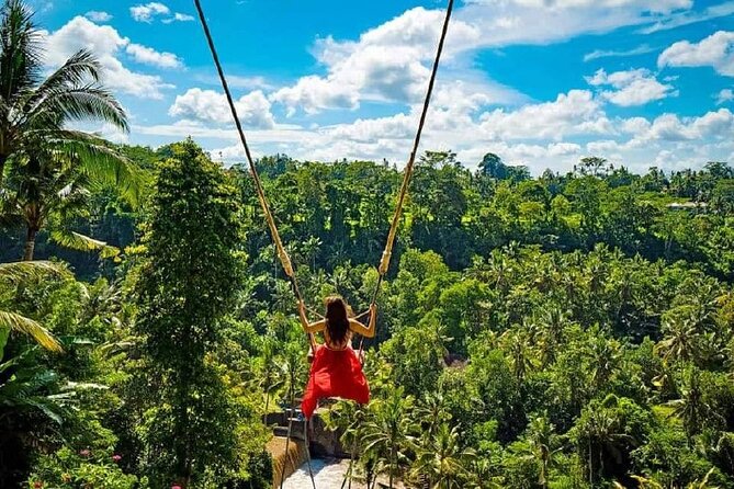 Sacred Spring Experience - Ubud Tour - Sacred Monkey Forest Sanctuary: walking tour + real habitat