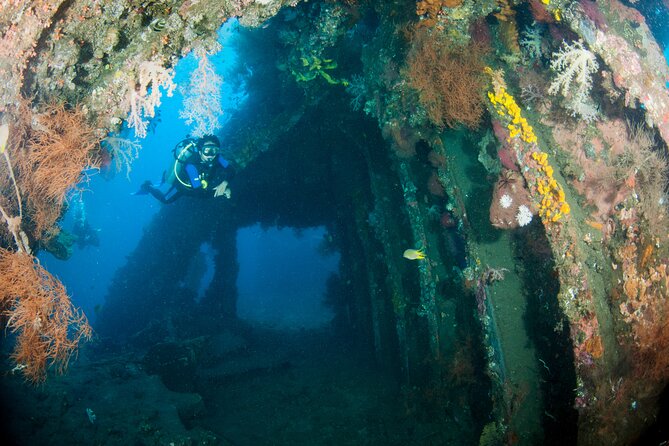 Sanur Open Water Course learn diving in 3 Days - Get certified & Dive everywhere - Who this course suits best (and who should pause)