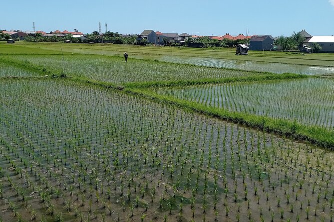 Sanur Village E-bike Tour: Family-Friendly Adventure - Price, Group Size, and What Is Included