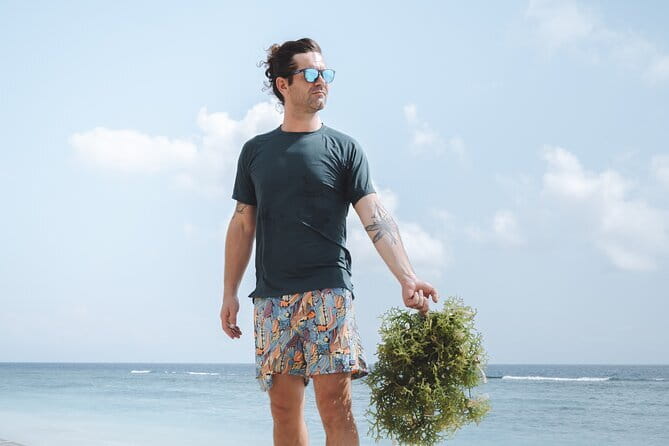 Seaweed Farming Activity and Sightseeing at Diamond Beach - Key points to know before you go