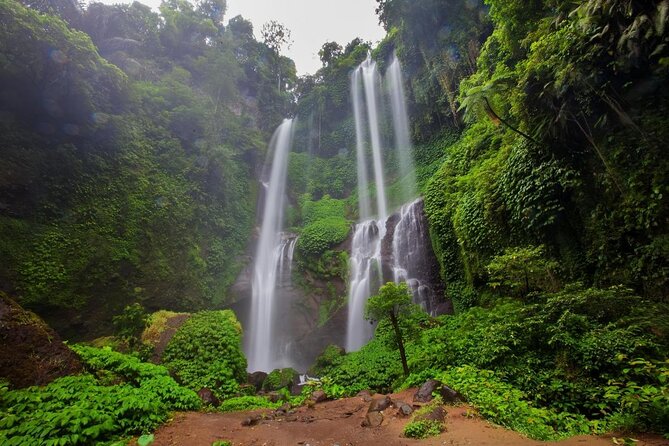 Sekumpul waterfall & aling2 waterfall with private service (including activity) - Key things I’d look for before you go