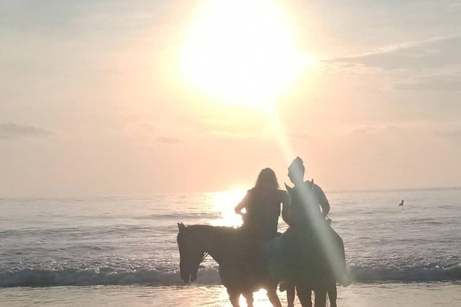 Seminyak Beach Bali Horse Riding - Who this suits best (and who should think twice)