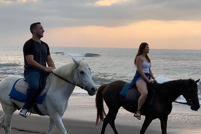 Seminyak Beach Bali Horse Riding - Price, value, and the real trade-off: one hour on the sand
