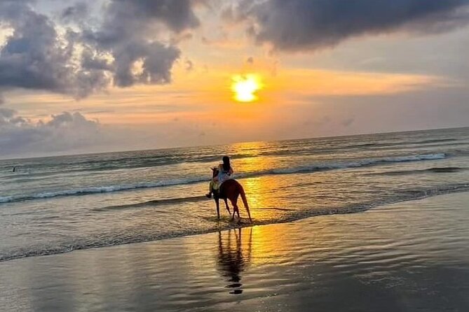 Seminyak Horse back riding In the beach - Seminyak Beach on Horseback: what makes this 1-hour ride feel worth it
