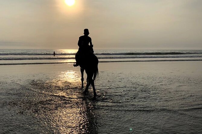 Seminyak Horse back riding In the beach - Weather matters on the sand: what good conditions help you enjoy