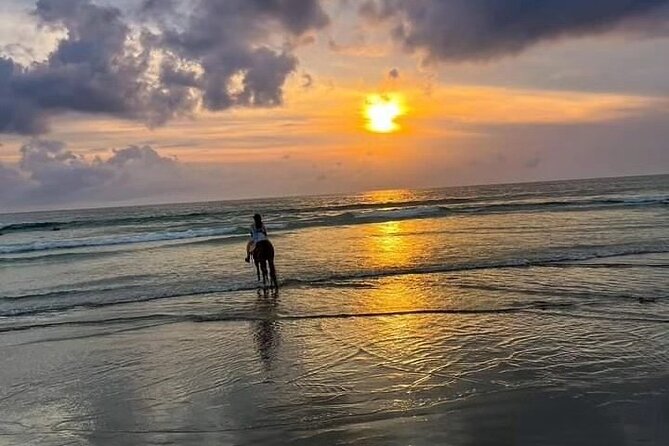 Seminyak Horse back riding In the beach - Quiet horses, ponies, and pro guides: comfort is the whole point