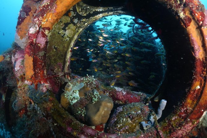 Shipwreck Diving in Tulamben - Key highlights at a glance