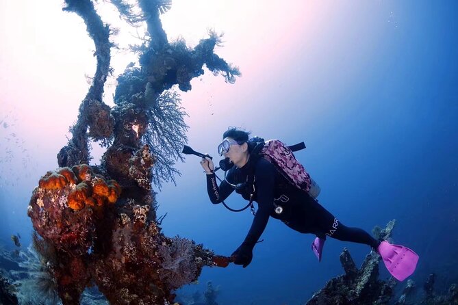 Shipwreck Diving in Tulamben - What it’s like underwater: guidance, gear, and shipwreck focus