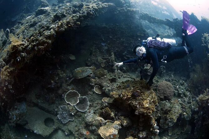 Shipwreck Diving in Tulamben - Who should book this Liberty wreck scuba trip?