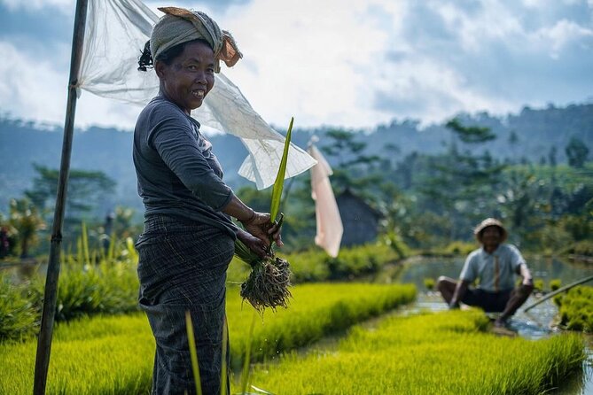 Sidemen Trekking: A Walk from a Different Perspective - Irrigation paths and the hanging wooden bridge (the trek’s most memorable mechanics)