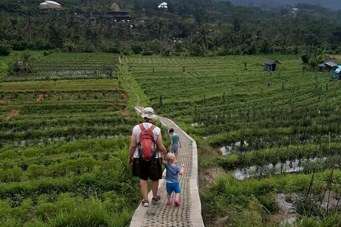 Sidemen Trekking Through Rice Terraces and Villages - Sidemen Trek at 7:00am: A Calm Morning in Real Rice Country