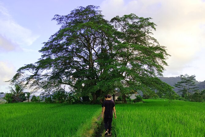 Sidemen Trekking with Cultural Encounters and Nature Views - Key things I’d notice before you go