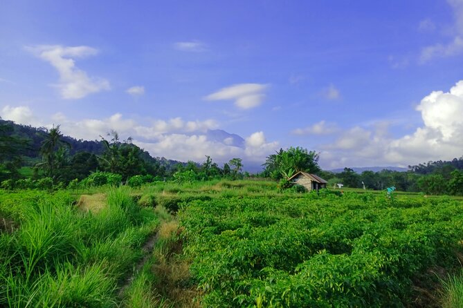 Sidemen Trekking with Cultural Encounters and Nature Views - What’s included, what’s not, and why the price feels fair