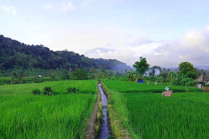 Sidemen Trekking with Cultural Encounters and Nature Views - What to wear and pack for hot rice-field paths