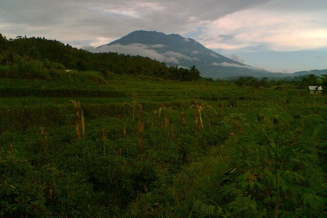 Sidemen Trekking with Cultural Encounters and Nature Views - Selisian Views: Mt. Agung in the rear view
