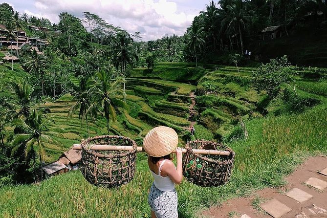 Skip-the-Line: Ubud Tour - All Inclusive Tickets - Pickup and drop-off: where the tour starts to save you time