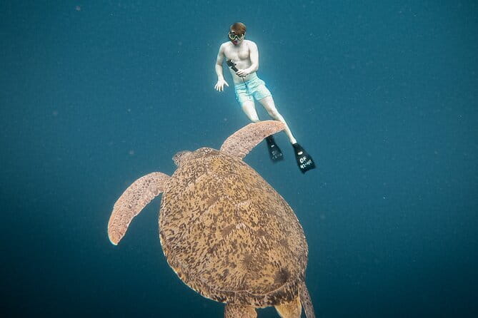 Snorkeling 3 Spots with GoPro & West Coast Tour Nusa Penida - Manta Bay snorkeling: manta rays, real ocean conditions