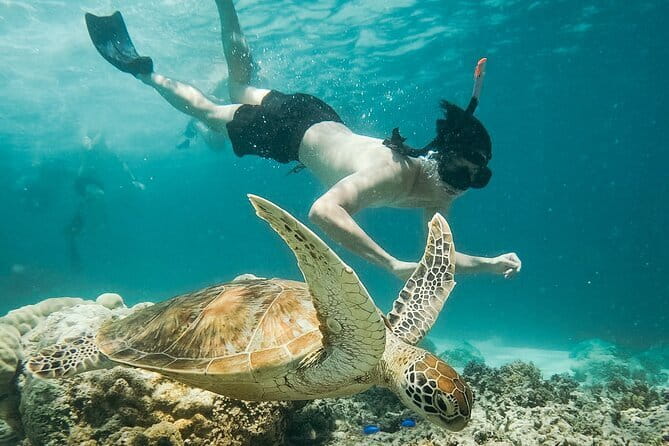 Snorkeling 3 Spots with GoPro & West Coast Tour Nusa Penida - The west coast run: Kelingking, Broken Beach, and Angel’s Billabong