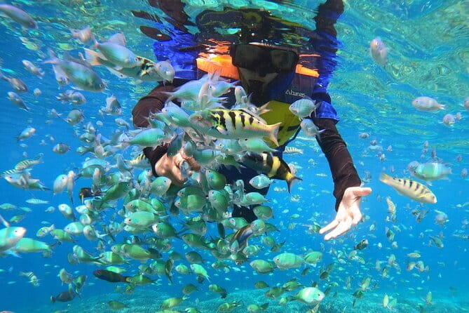 Snorkeling 3 Spots with GoPro & West Coast Tour Nusa Penida - Who this tour fits best (and who should skip it)