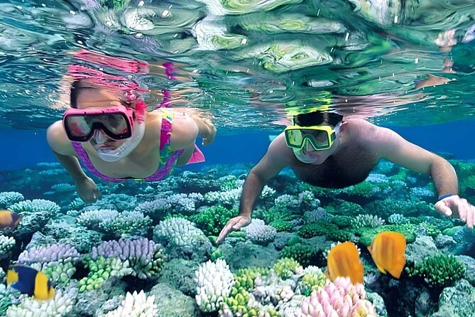 Snorkeling 4 Spot With Manta Bay Or Optional Land Trip - Price and What You Get for $14.14