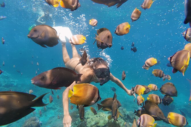Snorkeling 4 Spot With Manta Bay Or Optional Land Trip - Wall Point: Why a Different Stop Can Make the Whole Trip Feel Longer