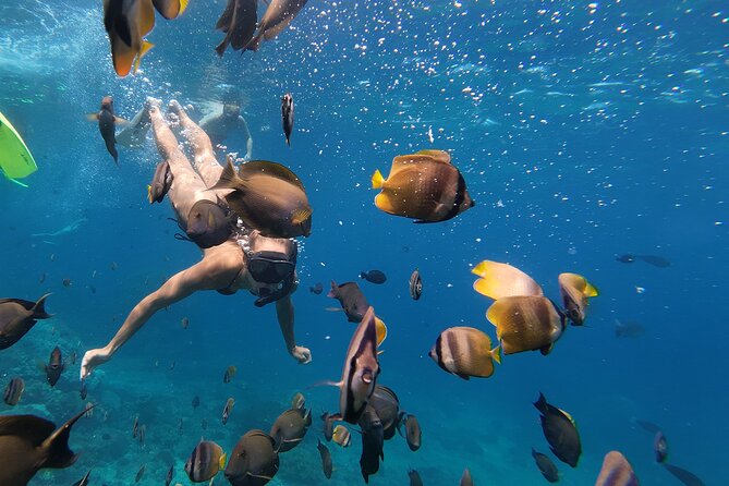 Snorkeling 4 Spot With Manta Bay Or Optional Land Trip - Safety, Guides, and the GoPro Photo Factor
